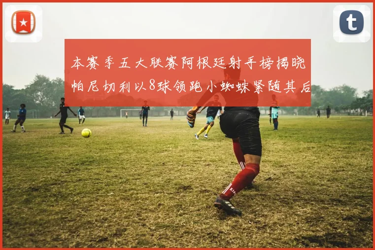 本赛季五大联赛阿根廷射手榜揭晓帕尼切利以8球领跑小蜘蛛紧随其后