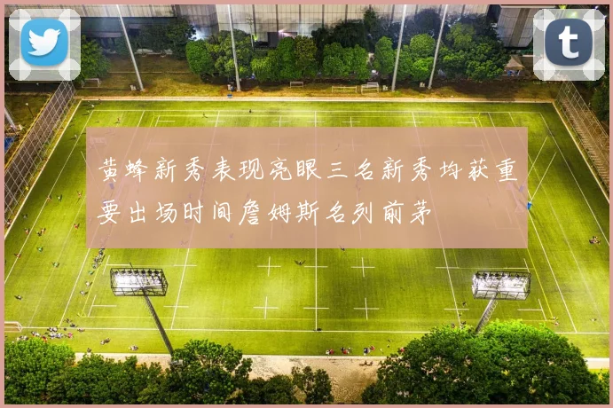 黄蜂新秀表现亮眼三名新秀均获重要出场时间詹姆斯名列前茅